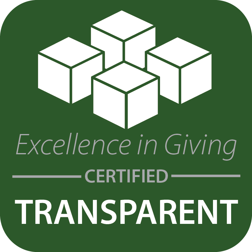 Excellence in giving logo